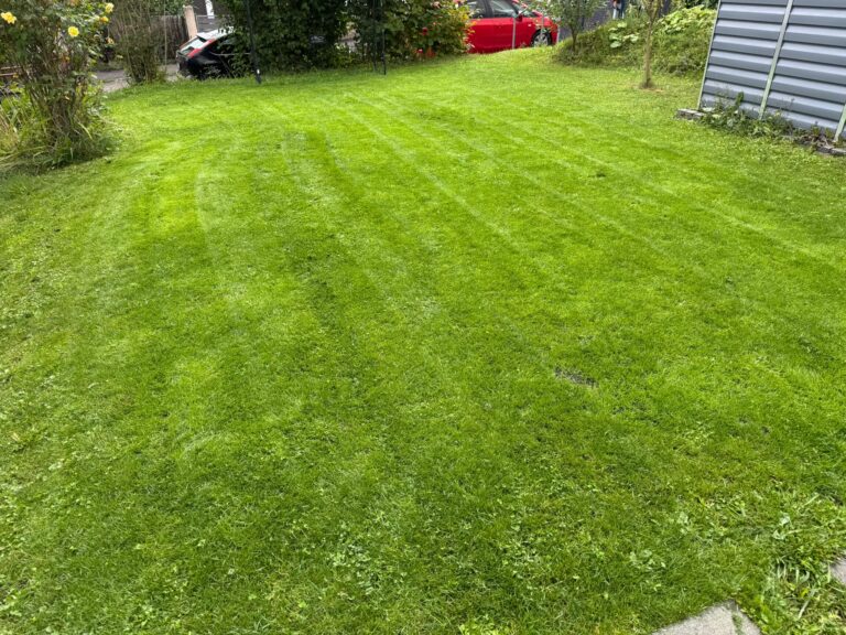 whatsapp image 2026 03 15 at 13.43.08 (2)